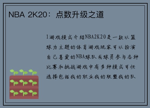 NBA 2K20：点数升级之道