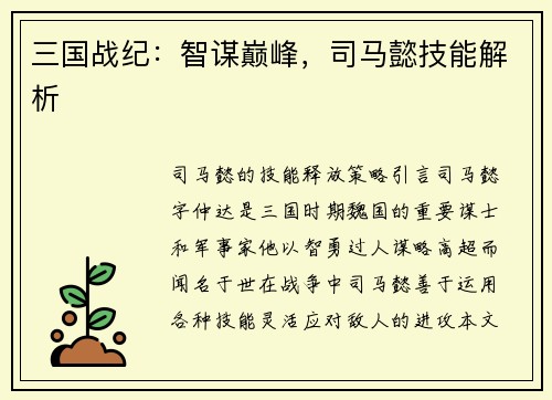 三国战纪：智谋巅峰，司马懿技能解析